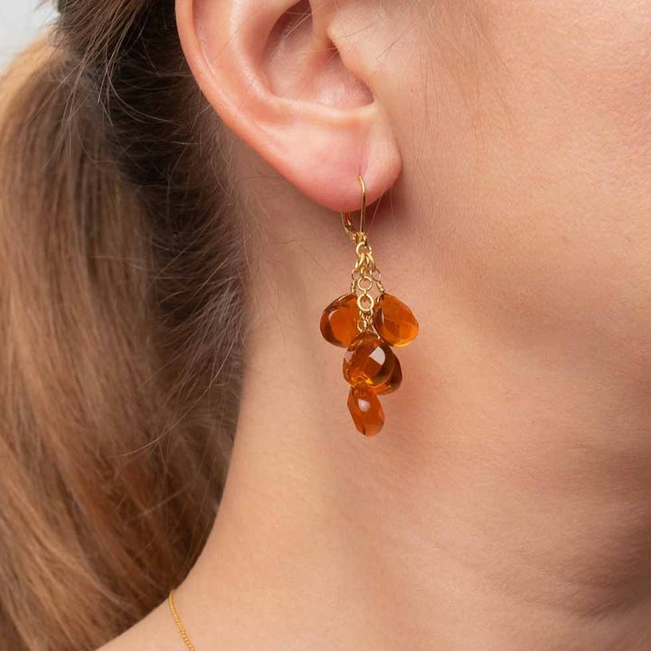Ohrhänger 5 Stone Cluster Carnelian